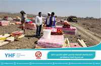 #Generations_Without_Qat coordinate for International Organization for Migration to intervene in IDP hosting sites in Al-Mukha, Taiz